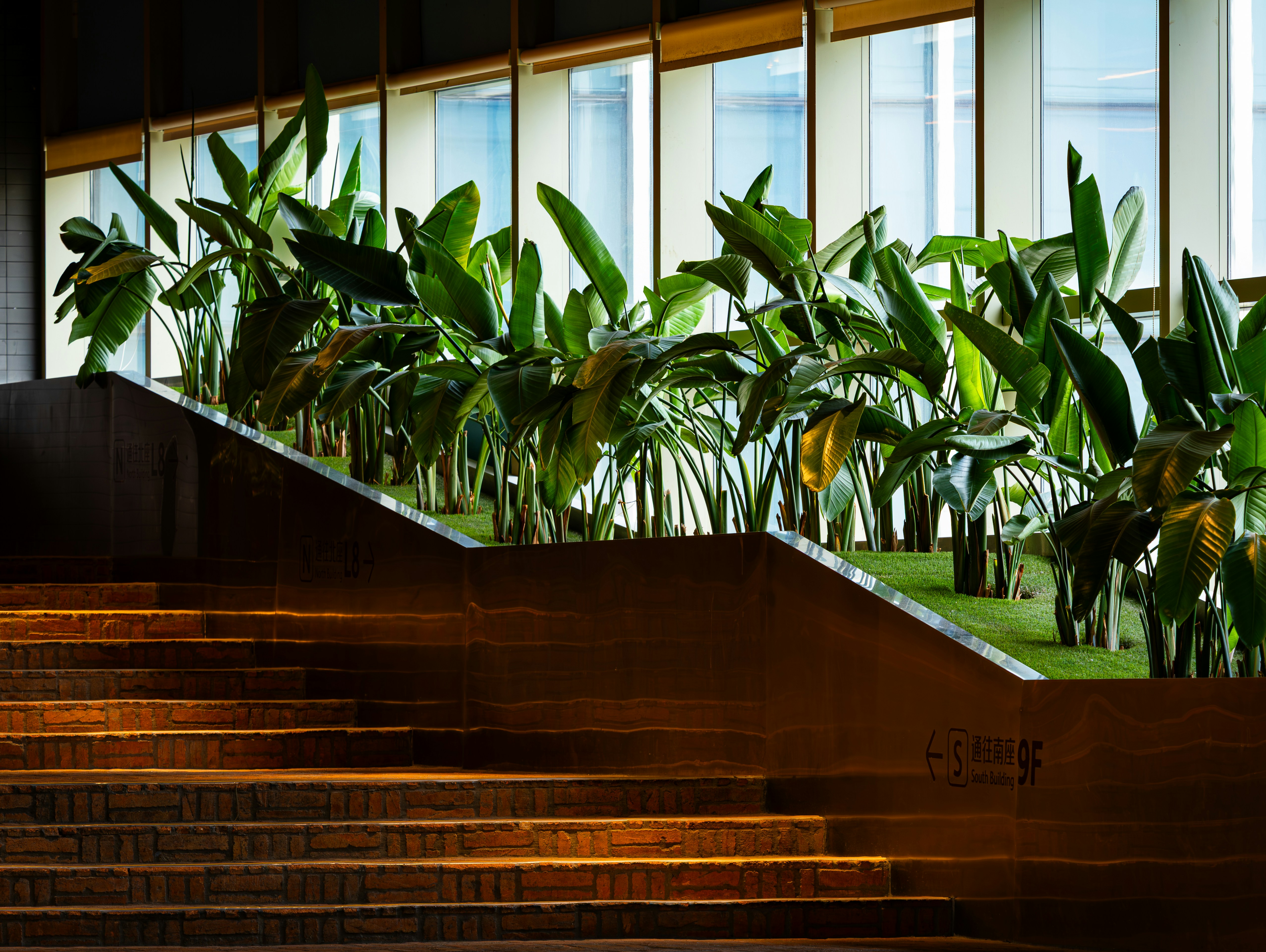 Lush tropical planting along a sunlit terrace beside a brick staircase inside a glazed office building