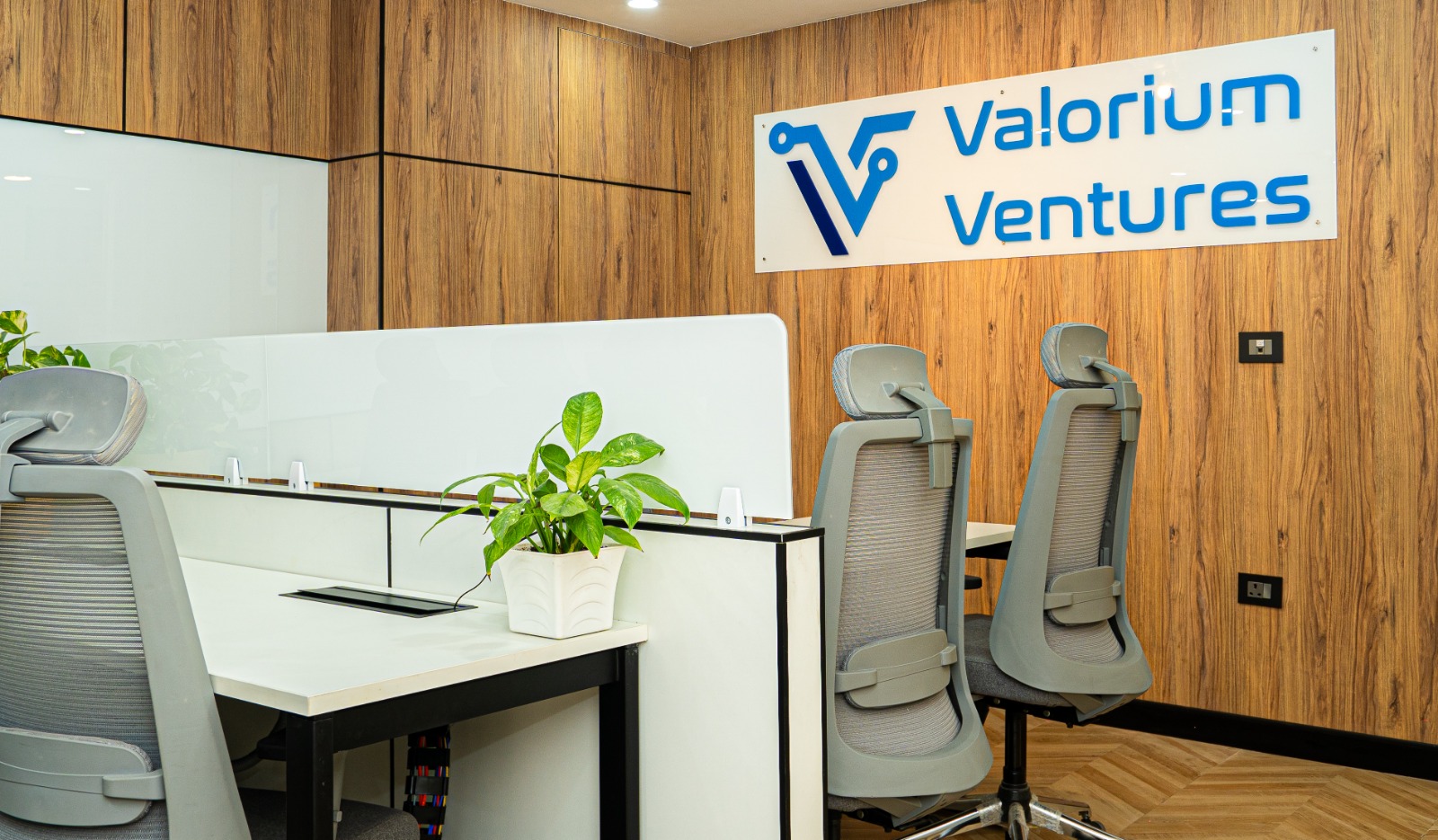 Workstation row with ergonomic chairs and neutral tone partitions at Valorium Ventures office interior